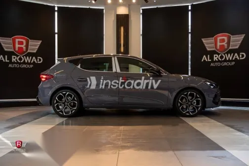 كوبرا ليون 2026 رمادي جديدة للبيع - 3