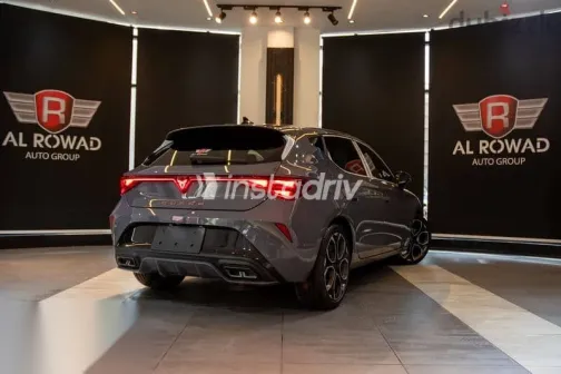 كوبرا ليون 2026 رمادي جديدة للبيع - 4