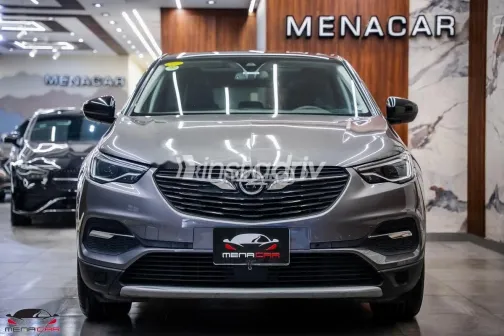 Opel Grandland 2021 Gray Used for Sale - 1