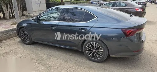 Skoda Octavia 2021 Green Used for Sale - 6