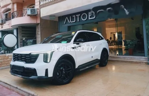 Kia Sorento 2024 White Used for Sale - 2