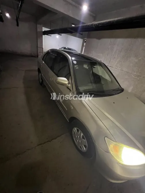 هوندا سيفك 2005 شامبين مستعملة للبيع - 2