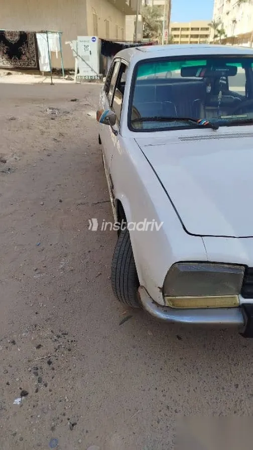 بيجو 504 1975 أبيض مستعملة للبيع - 1