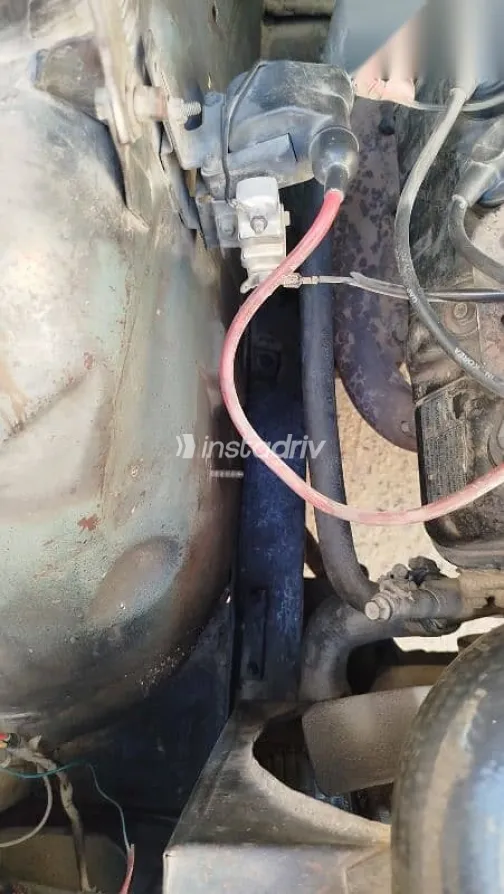 بيجو 504 1975 أبيض مستعملة للبيع - 6