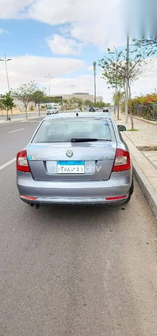 سكودا فانتازيا 2013 فضي مستعملة للبيع - 3