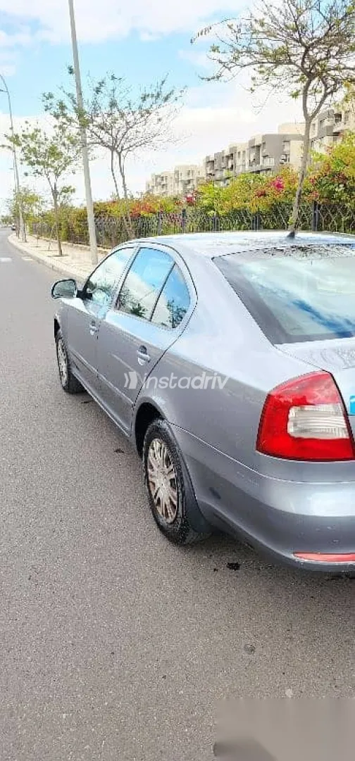 سكودا فانتازيا 2013 فضي مستعملة للبيع - 4