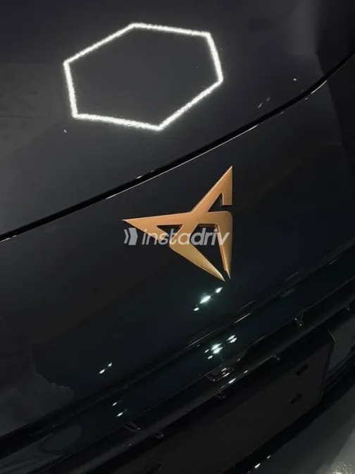 كوبرا تيرامار 2026 رمادي جديدة للبيع - 2