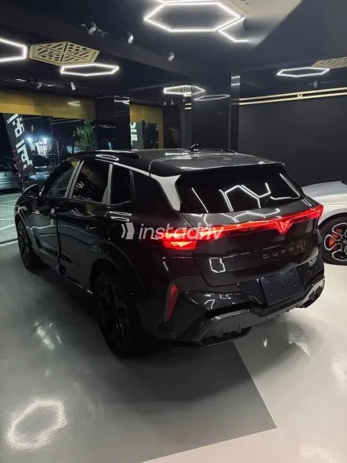 كوبرا تيرامار 2026 رمادي جديدة للبيع - 3