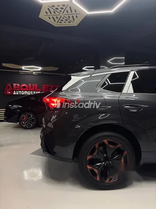 كوبرا تيرامار 2026 رمادي جديدة للبيع - 5