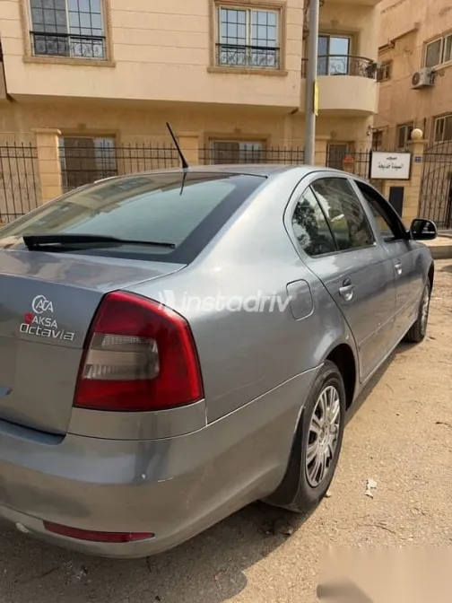 سكودا فانتازيا 2013 رمادي مستعملة للبيع - 6