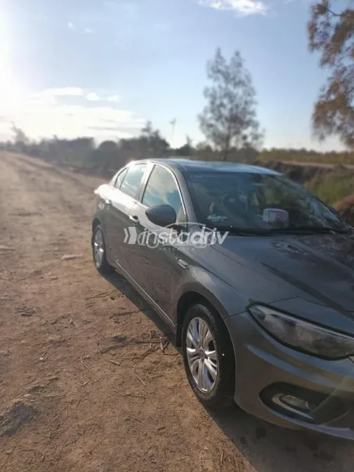 Fiat Tipo 2021 White Used for Sale - 1