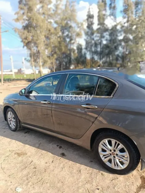 Fiat Tipo 2021 White Used for Sale - 3