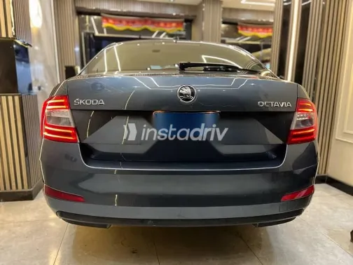 سكودا اوكتافيا 2015 رمادي مستعملة للبيع - 2