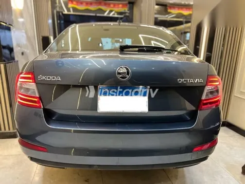 سكودا اوكتافيا 2015 رمادي مستعملة للبيع - 4