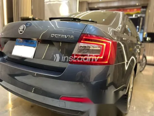 سكودا اوكتافيا 2015 رمادي مستعملة للبيع - 5