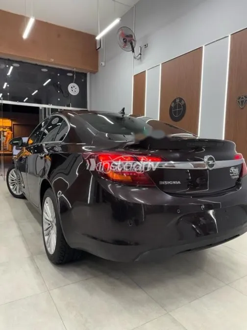 اوبل أنسيجنيا 2014 بني مستعملة للبيع - 5