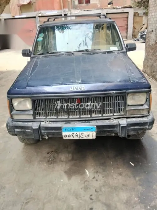 جيب شيروكي 1994 أزرق غامق مستعملة للبيع - 2