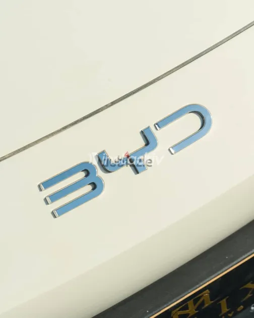 بى واى دى‬ سيجال 2025 أبيض جديدة للبيع - 3