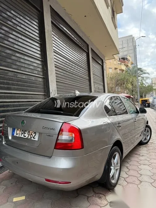 Skoda Octavia 2010 Gold Used for Sale - 10