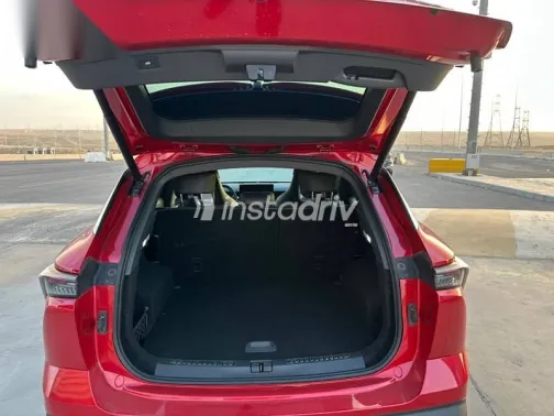 جيتور داشينج 2025 أحمر مستعملة للبيع - 8