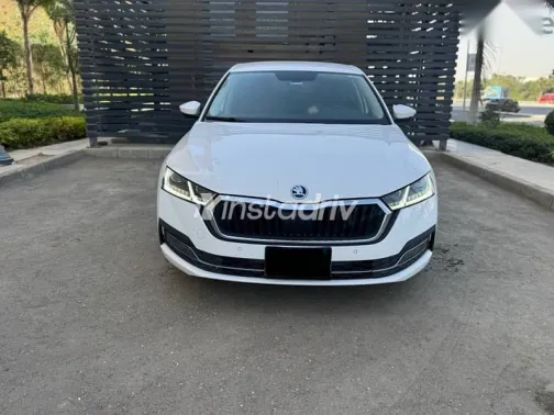 سكودا اوكتافيا 2021 أبيض مستعملة للبيع - 2