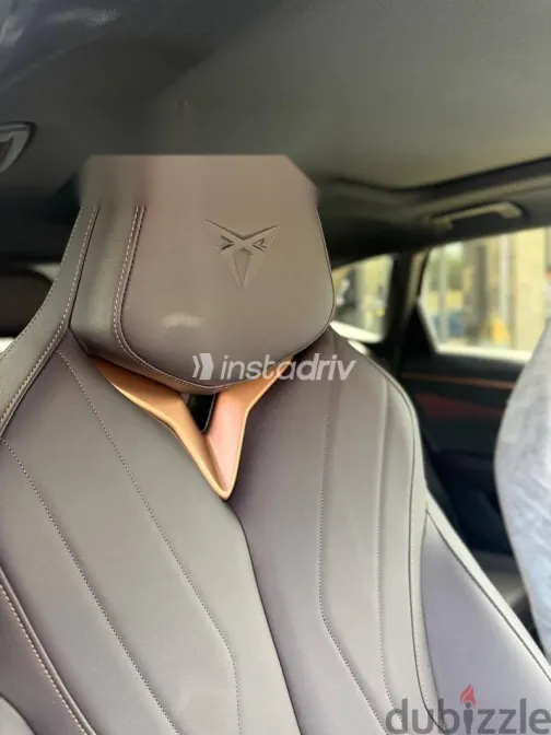 كوبرا تيرامار 2026 رمادي جديدة للبيع - 7