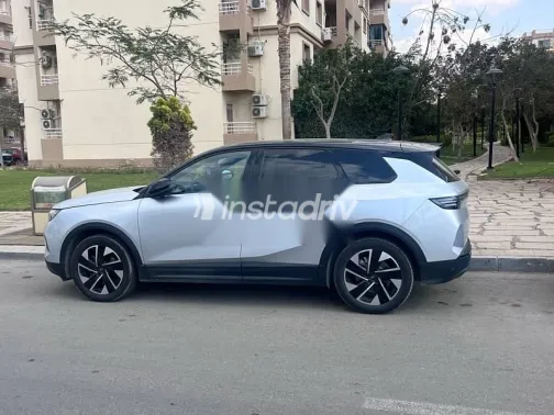 اوبل جراند لاند 2026 رمادي مستعملة للبيع - 3