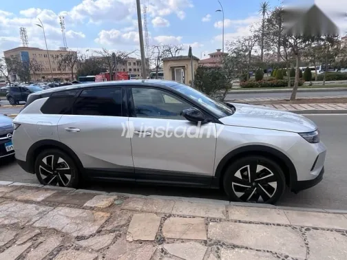 اوبل جراند لاند 2026 رمادي مستعملة للبيع - 4