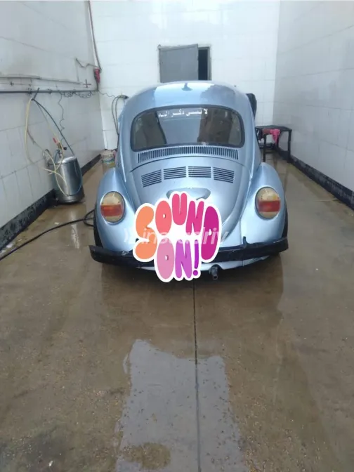 فولكس فاغن بيتل 1981 أبيض مستعملة للبيع - 1