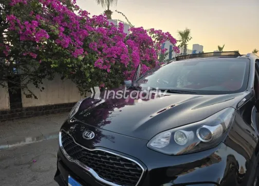 Kia Sportage 2020 Black Used for Sale - 2