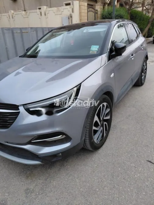 اوبل جراند لاند 2019 أبيض مستعملة للبيع - 3