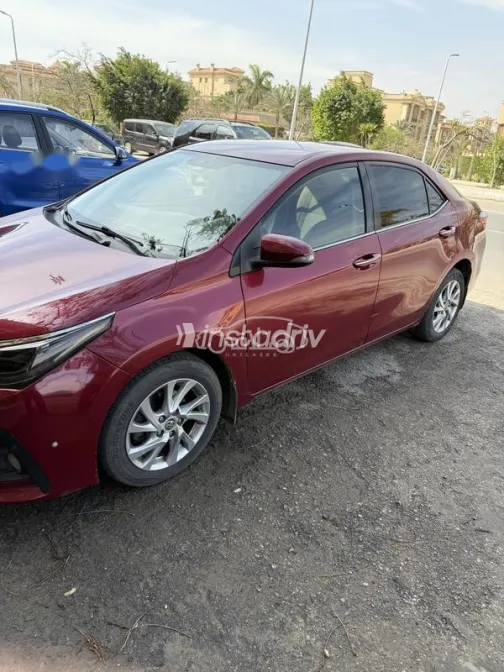 تويوتا كورولا 2016 أحمر غامق مستعملة للبيع - 2