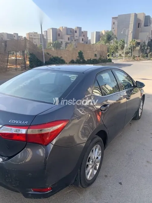 تويوتا كورولا 2015 رمادي مستعملة للبيع - 3