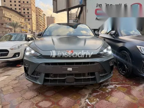 كوبرا ليون 2025 أخضر مستعملة للبيع - 1