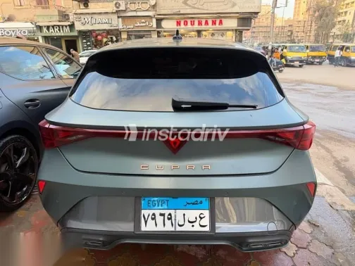 كوبرا ليون 2025 أخضر مستعملة للبيع - 7