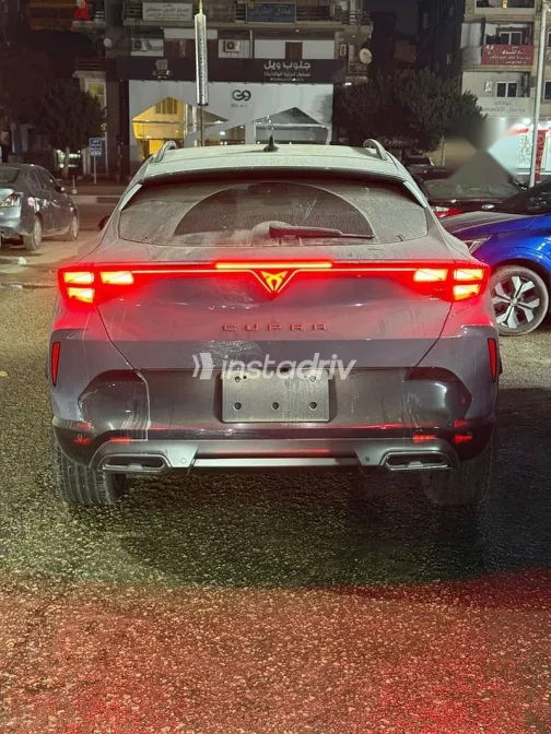 كوبرا فورمينتور 2026 رمادي جديدة للبيع - 2