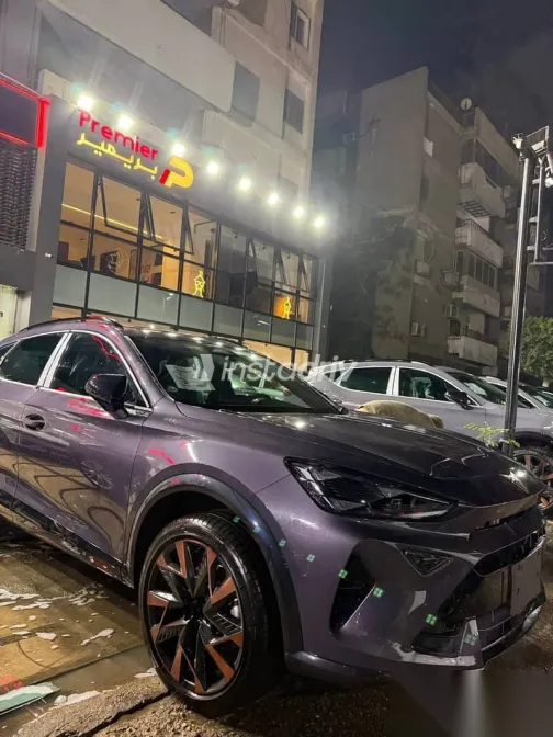 كوبرا فورمينتور 2026 رمادي جديدة للبيع - 4