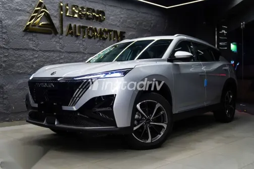 دونج فنج ماجي 2026 رمادي جديدة للبيع - 1