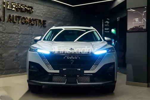 دونج فنج ماجي 2026 رمادي جديدة للبيع - 2