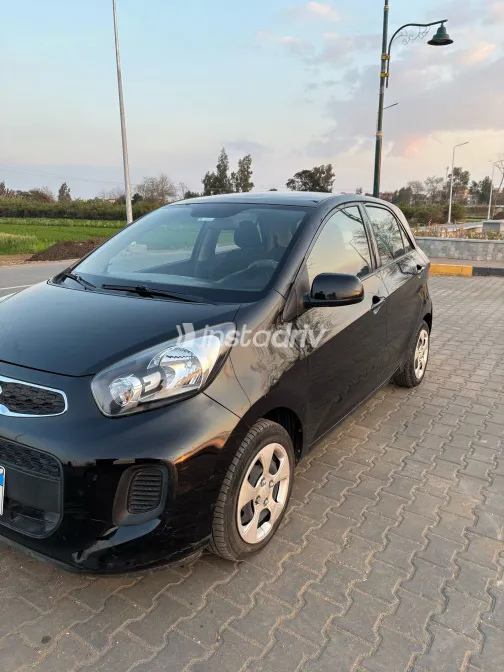 Kia Picanto 2016 White Used for Sale - 5
