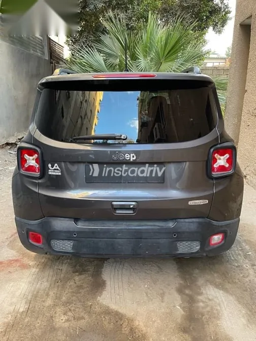 جيب رينيجيد 2019 رمادي مستعملة للبيع - 2