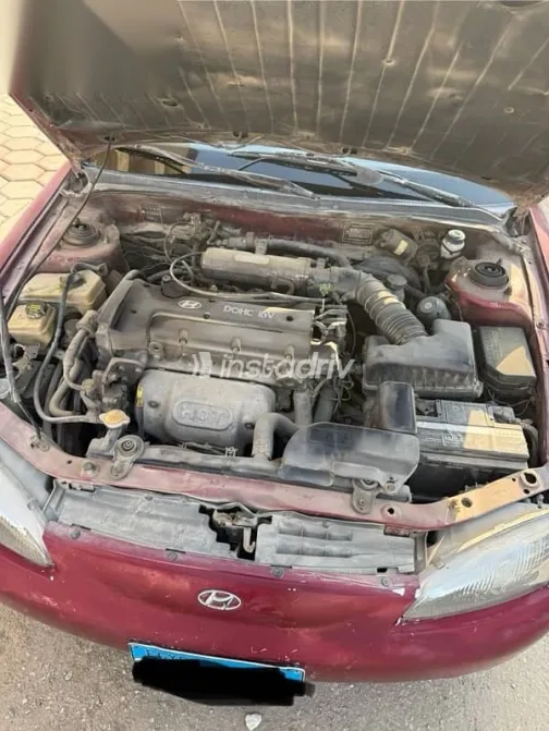 هيونداي إلنترا 1996 نبيتي مستعملة للبيع - 4