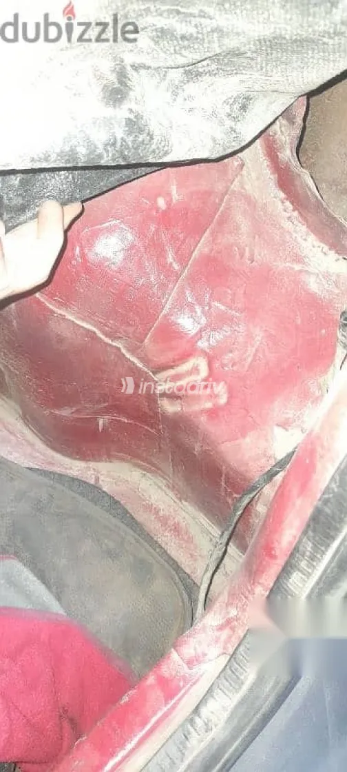 فيات اونو 1998 أحمر مستعملة للبيع - 6