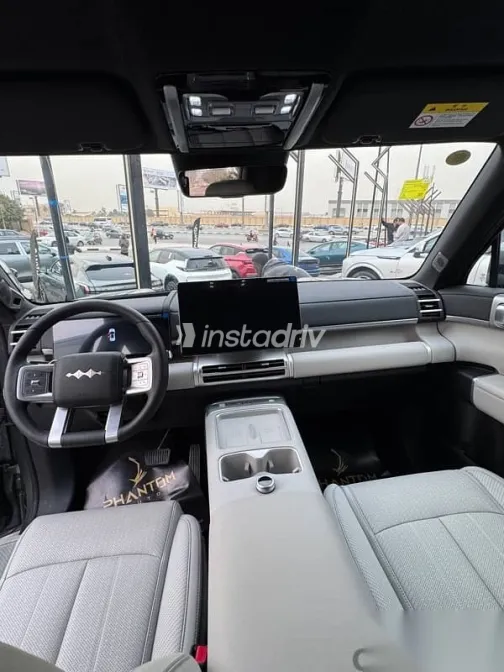 بى واى دى‬ ليوبارد 5 2025 فضي جديدة للبيع - 2