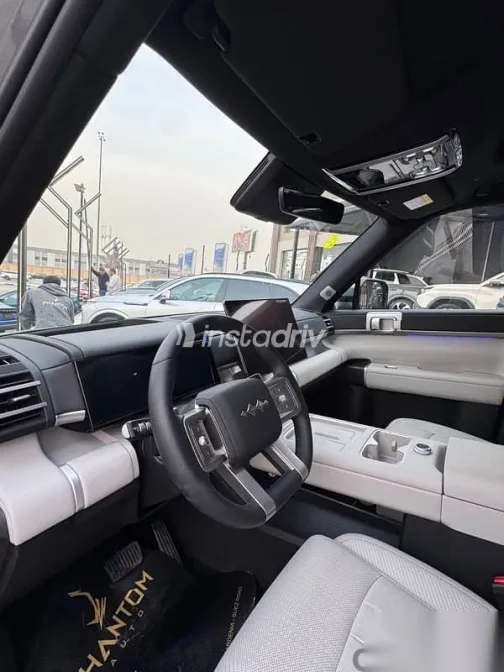 بى واى دى‬ ليوبارد 5 2025 فضي جديدة للبيع - 5