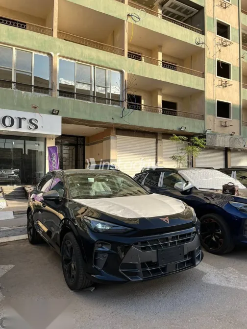 كوبرا تيرامار 2025 أسود جديدة للبيع - 3