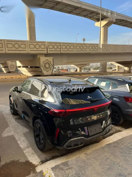 كوبرا تيرامار 2025 أسود جديدة للبيع - 5