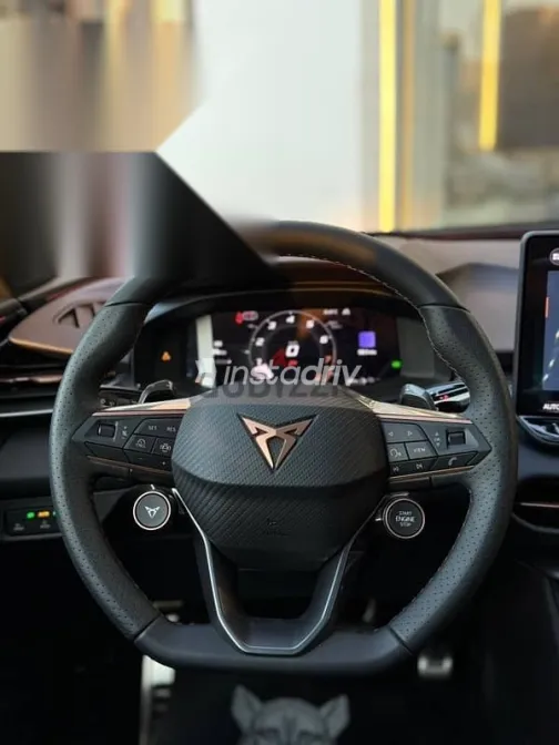 كوبرا تيرامار 2026 أسود جديدة للبيع - 10