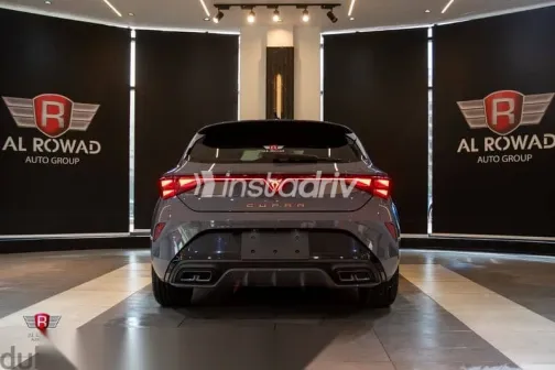 كوبرا ليون 2026 رمادي جديدة للبيع - 2