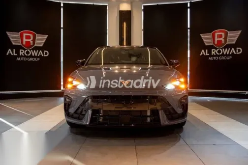 كوبرا ليون 2026 رمادي جديدة للبيع - 5